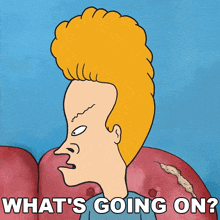 What'S Going On Beavis GIF - What'S Going On Beavis Mike Judge'S Beavis And Butt-head GIFs