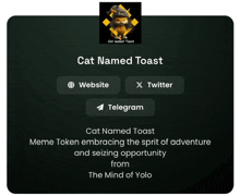 a cat named toast meme token embraces the spirit of adventure and seizing opportunity from the mind of yolo