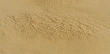 Dune Dune2021 GIF - Dune Dune2021 Atreides GIFs