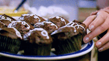 greys anatomy izzie stevens cupcakes cupcake chocolate cupcakes