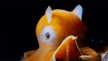 Adorabilis Dumbo Octopus GIF - Adorabilis Dumbo Octopus Hi GIFs