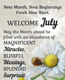 a picture of a ladybug on a daisy with the words welcome july on it