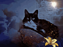 Mystery Mysterious GIF - Mystery Mysterious Cat GIFs
