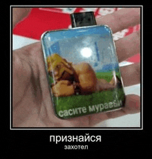a person is holding a lighter in their hand with a picture of a lion on it .