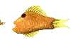 a pixel art of a fish with a yellow tail and a black eye on a white background .