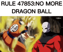 Dragon Ball Rule GIF - Dragon Ball Rule Rule47853 GIFs