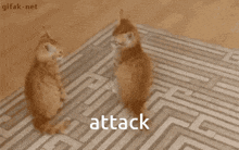 Attack Cat Attacking GIF - Attack Cat Attacking Cat Jump GIFs