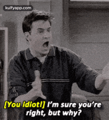 [you Idiotl] I'M Sure You'Reright, But Why?.Gif GIF - [you Idiotl] I'M Sure You'Reright But Why? Friends GIFs