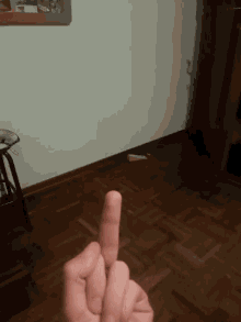Ciaone Middle Finger GIF - Ciaone Middle Finger GIFs