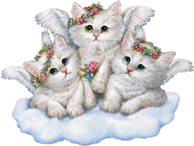 Kitten Kittens Sticker - Kitten Kittens Angel Stickers