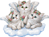 Kitten Kittens Sticker - Kitten Kittens Angel Stickers