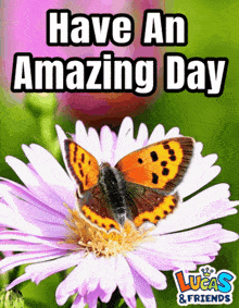 Enjoy Your Day Have A Nice Day GIF