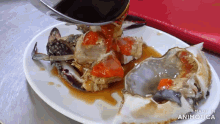 a plate of crabs with sauce being poured on it and the words made in animatica on the bottom right
