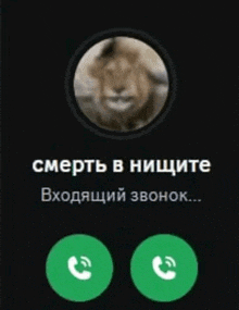 a phone screen with a picture of a lion and the words " смерть в нищите "
