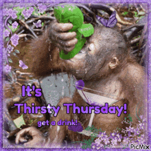 a picture of a monkey drinking from a martini glass that says it 's thirsty thursday