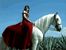 Riding A Horse Shania Twain GIF