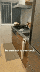 Cat Dont Overcook GIF - Cat Dont Overcook Silly GIFs