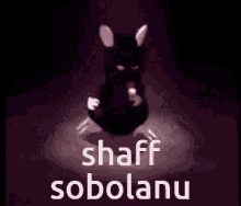 Shaff Shaffsobolanu GIF - Shaff Shaffsobolanu Shaffsobolan GIFs