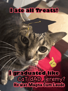 a cat wearing a graduation cap with the words i graduated like cat dad jeremy he was magna cum laude