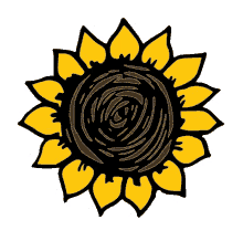 flower sunflower girasol