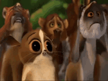Meme Animals GIF - Meme Animals Big Eye GIFs