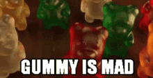 Gummy Gummy Bear GIF - Gummy Gummy Bear Gummy Is Mad GIFs