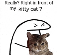 a drawing of a cat with the words `` really ? right in front of my kitty cat ? '' next to it .