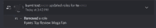 burnt tost updated roles for te # 0952 today at 3:42 pm