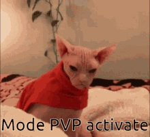 Pvp Activate GIF - Pvp Activate GIFs