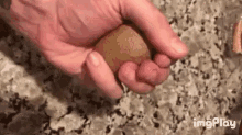GIF