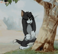 Oh Shit Tom And Jerry GIF - Oh Shit Tom And Jerry Gif GIFs