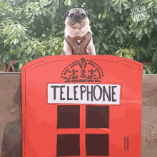 Telephone Telephone Booth GIF - Telephone Telephone Booth Hey There GIFs