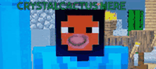 a screenshot of a minecraft game with the name crystals fox here