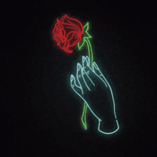 Rose Petals GIF - Rose Petals Red Rose GIFs