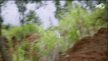 a blurry picture of a forest with a bull logo on the bottom right
