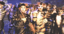 a group of people dressed as cats are dancing on stage