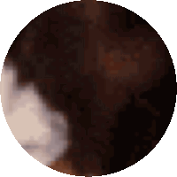 a pixelated image of a person 's face in a dark circle