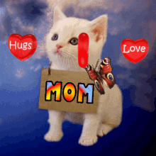 Moms Day Happy Mothers Day GIF - Moms Day Happy Mothers Day Mothers Day Kitten GIFs