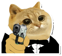 Catcoin Crypto Sticker - Catcoin Crypto Cat Meme Stickers