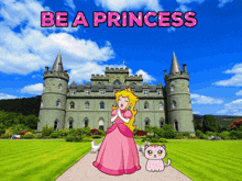 a cartoon of princess peach and a cat in front of a castle