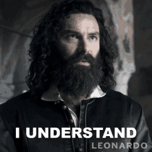 I Understand Leonardo Da Vinci GIF