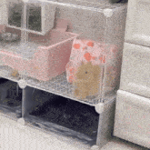 a small rabbit is sitting on a shelf next to a pink container