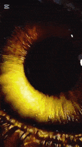 a close up of a person 's eye with the letter x on the bottom right