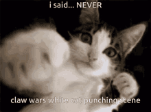 Claw Wars White Cat Punching Scene GIF