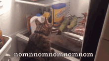 Nomnomnomnom GIF - Cat Eating Nom GIFs