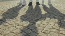 a group of people standing on a cobblestone street with their shadows on the ground
