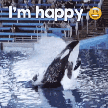 Orca Happy GIF - Orca Happy Walter GIFs