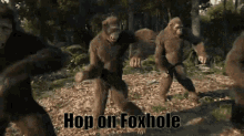 hop on foxhole hop on foxhole monkey