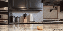 Excited Dinner GIF - Excited Dinner Dog GIFs