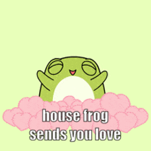 a frog is surrounded by pink hearts with the words house frog sends you love